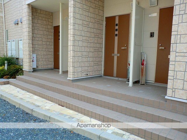 プラタナスのその他写真