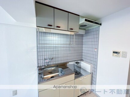 キャッスル朝生田　東棟[1R/21m2]の内装2