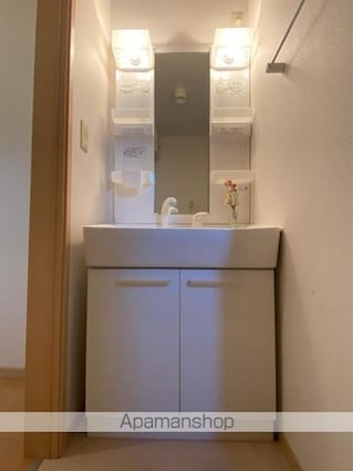 サウス・ヴィレッジＡ・Ｂ[1LDK/45.93m2]の洗面所