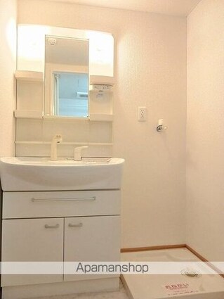 ファインロイテⅡ[1R/31.01m2]の洗面所