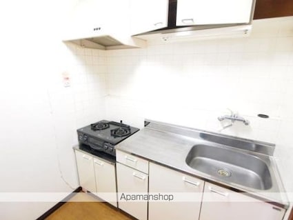 メゾンドアルファⅡ[3DK/63.63m2]のキッチン