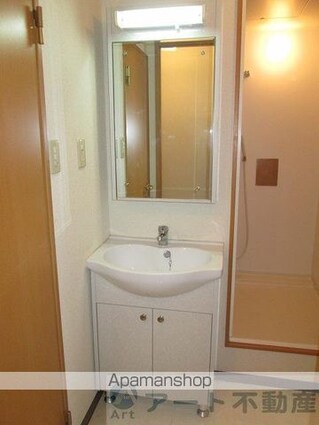 サザンコートⅥ[2DK/41.85m2]の洗面所