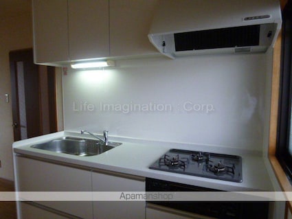 アドニス大崎[2DK/48.22m2]のキッチン