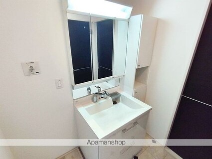 Ｃｈｅｒｒｙ　Ｃｏｕｒｔ[1LDK/43.74m2]の洗面所