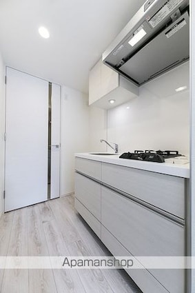 ライオンズフォーシア築地ステーション[1DK/26.97m2]のキッチン