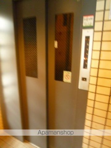 ホワイトテムのその他写真