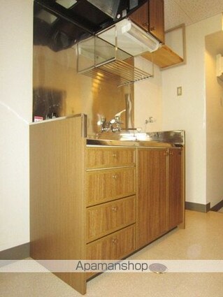 長野県長野市大字長野岩石町[1K/33.53m2]のキッチン