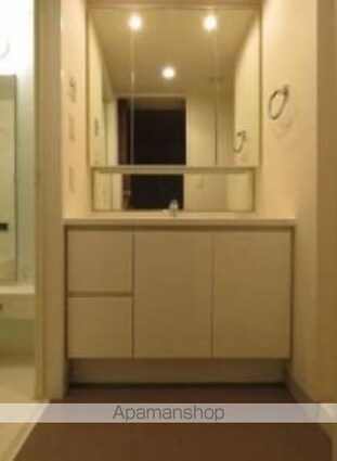 パークキューブ東品川[1R/41m2]の洗面所