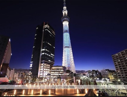 クレストコート本所吾妻橋[1LDK/40.09m2]の周辺7