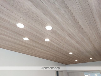 ＧＡＬＬＥＲＹ　ＨＯＵＳＥ米湊　Ａ棟[1LDK/36.83m2]の内装3