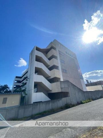 詰田川ハイツの外観写真