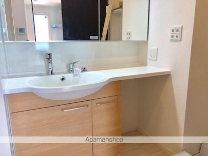 フォルトゥーナＭ[2LDK/60.03m2]の洗面所