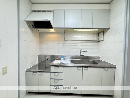 グレイス平島[3LDK/60.07m2]のキッチン