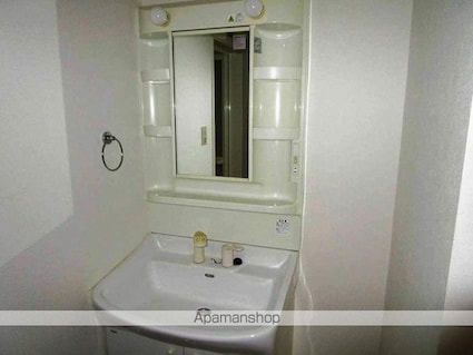 徳島県徳島市南佐古二番町[1LDK/52.06m2]の洗面所