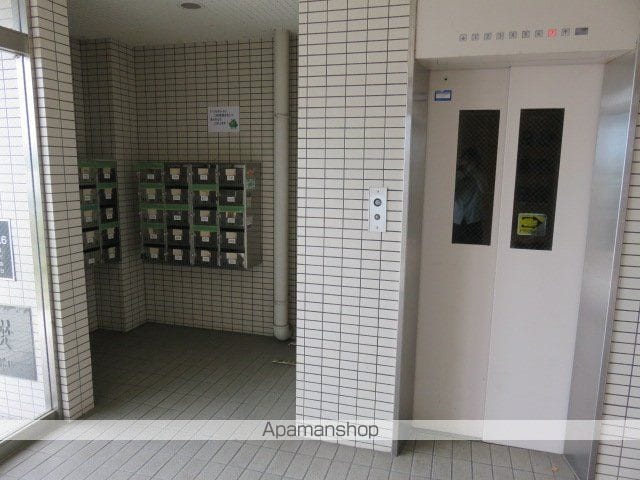 サンワタチバナのその他写真