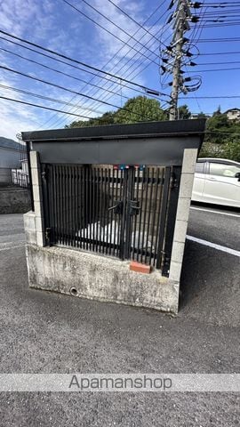 カモマイルのその他写真