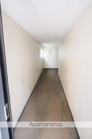 クリサンテームのその他写真