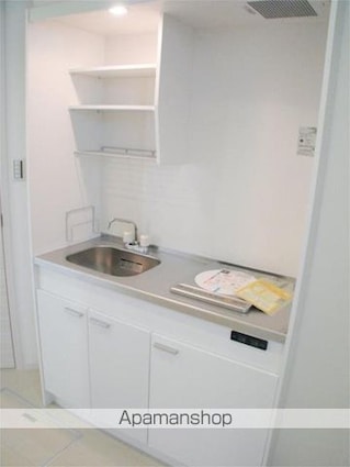 ルミナスウエスト自由が丘[1K/20.9m2]のキッチン