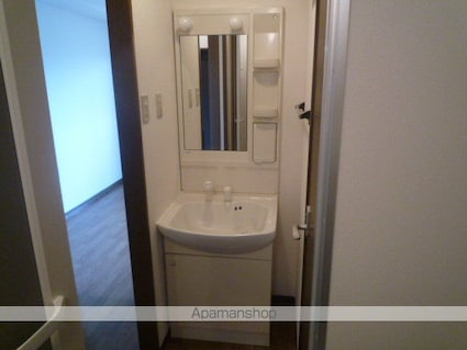 ＤＲＥＡＭＴＯＷＮ[1K/24.84m2]の洗面所