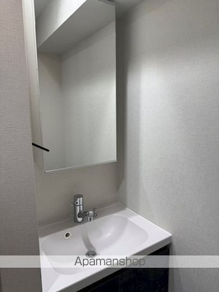 メインステージ板橋志村Ⅲ[1LDK/35.95m2]の洗面所