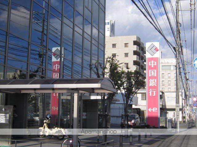 コスモスの周辺写真