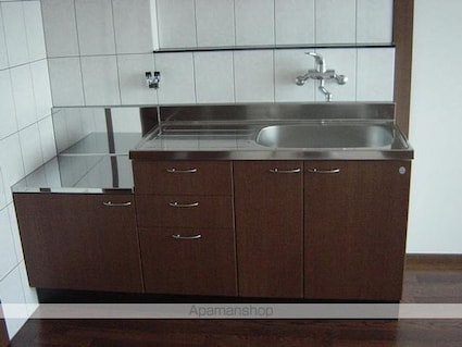 メリーシャトレーン[2DK/44.95m2]のキッチン