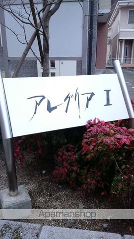 アレグリアIIのその他写真