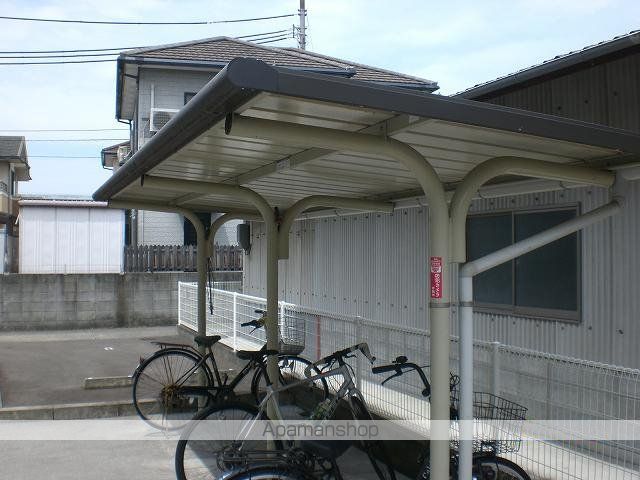 レオネクストモミの木のその他写真