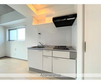 レジス飛鳥山公園[1LDK/45.76m2]のキッチン