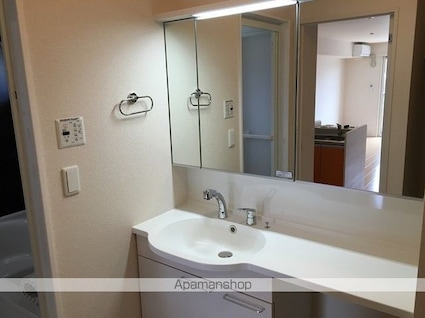 ルイティア　Ⅲ[1LDK/41.91m2]の洗面所