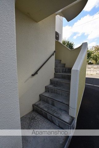 セントポーリアブライトのその他写真
