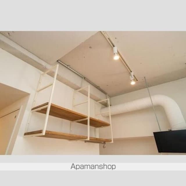アルス市ヶ谷薬王寺[1R/28.42m2]の収納2