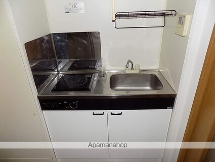 ル・グラン・バンブー[1K/22.39m2]のキッチン