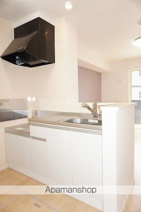 グラチチュードⅣ[1R/32.94m2]のキッチン