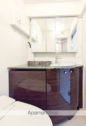 Ａｒｒｏｗｓａｌ　ＳＨＩＮＫＡＷＡ[1R/10.98m2]の洗面所