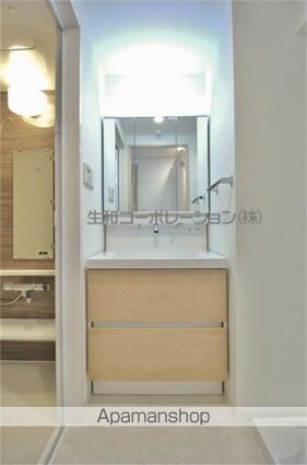 プレミアータ　ルーチェ[1K/27.03m2]の洗面所