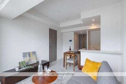 リーフシティ市川　ザ・レジデンス[1LDK/41.92m2]のリビング・居間2