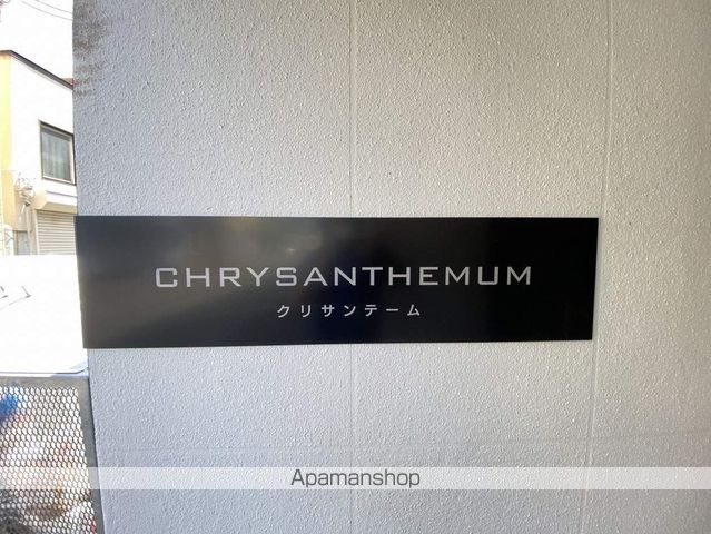 クリサンテームのその他写真