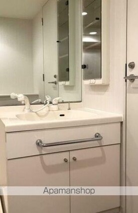 グランドメゾン三軒茶屋[2LDK/50.01m2]の洗面所