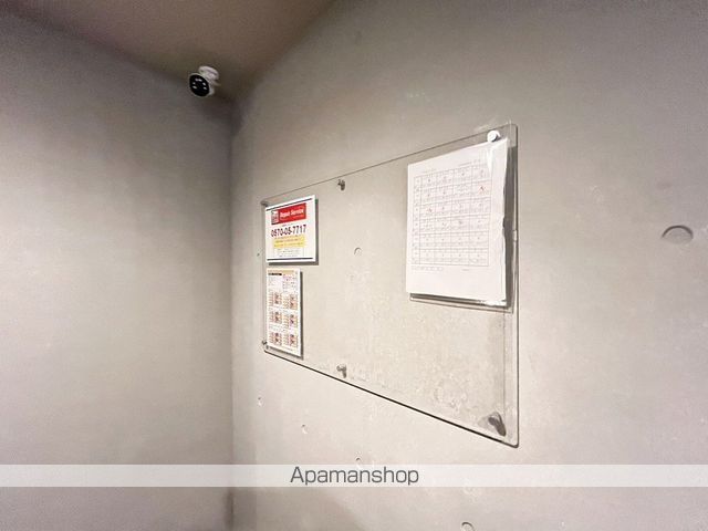 ヴェルデマンティスのその他写真