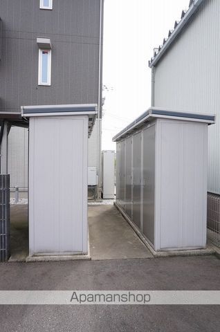 つくしんぼのその他写真