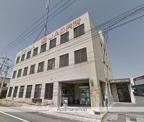 MOMOの周辺写真