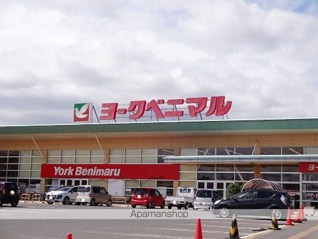 マッシュルームの周辺写真