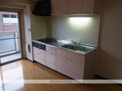 ランファン・ドール二子玉川[2DK/48.66m2]のキッチン