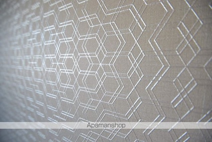 ホワイトウィングⅠ[2DK/50.79m2]の共用部2