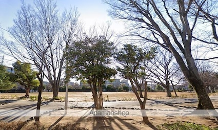 千葉県市川市湊[1K/22.36m2]の周辺6