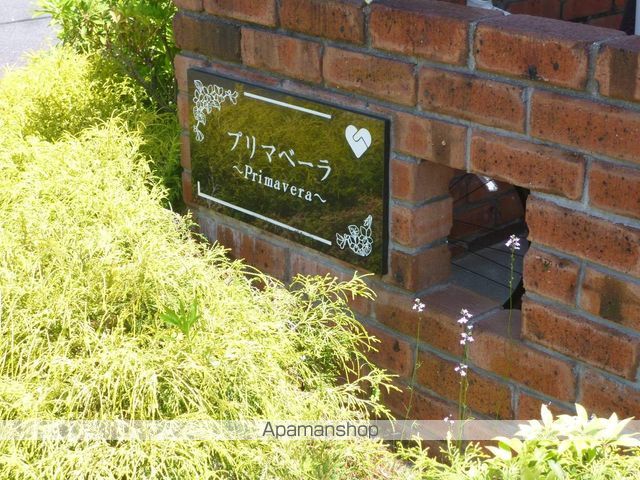 プリマベーラのその他写真