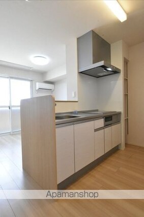 フィラエ[1LDK/49.21m2]のキッチン