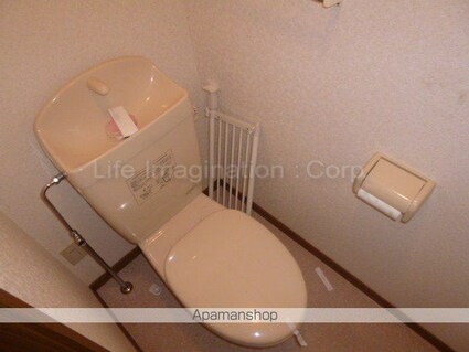 ドムス　ホーラ[2DK/45.5m2]のトイレ