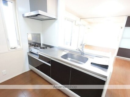 ヴィラ清流[2LDK/61.74m2]のキッチン